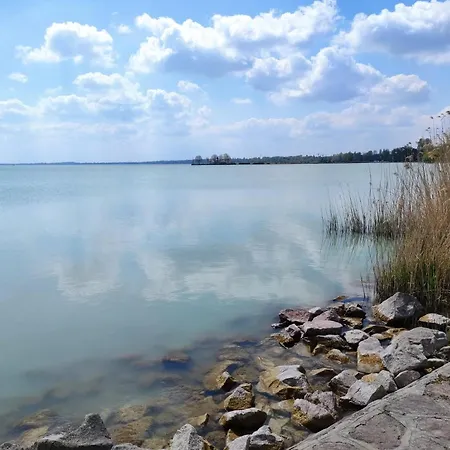 Royal Martin's 凯斯特海伊